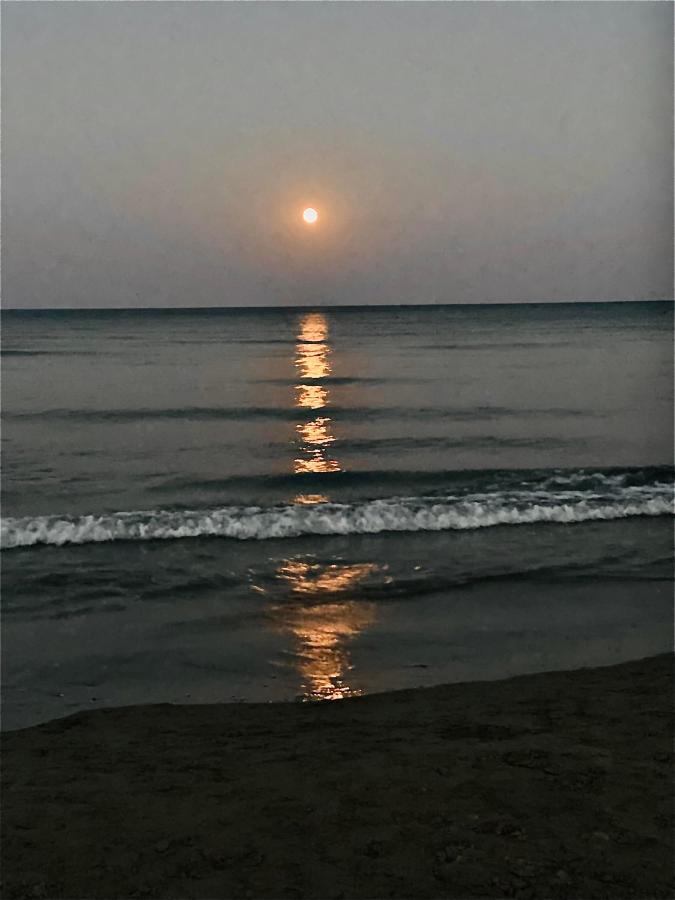 Nuna 102 Daire Larnaca Dış mekan fotoğraf